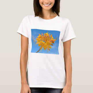 フロリダの炎のアザレアプリントの女性用Tシャツ(M) Tシャツ