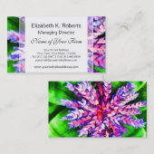 フロリダの熱帯庭青いBromeliad Aechmea 名刺 (正面/裏面)