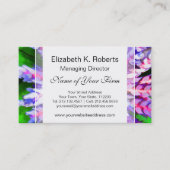 フロリダの熱帯庭青いBromeliad Aechmea 名刺 (正面)