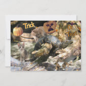 フロリダの猫とワニのフラットグリーティングカード シーズンカード (正面)