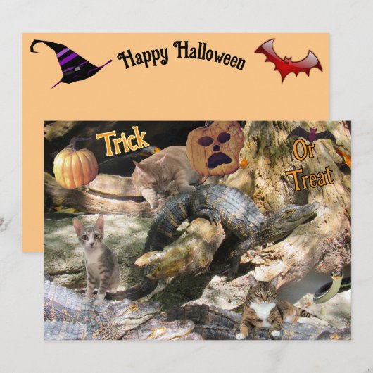 フロリダの猫とワニのフラットグリーティングカード シーズンカード (正面/裏面)