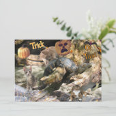 フロリダの猫とワニのフラットグリーティングカード シーズンカード (スタンド正面)