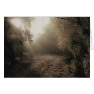 フロリダの田舎道