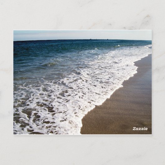 フロリダの白い洗浄波 ポストカード (裏面)