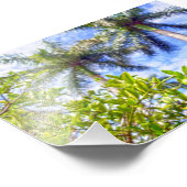 フロリダの石灰岩 フォトプリント            (角)