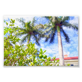 フロリダの石灰岩 フォトプリント           