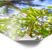 フロリダの石灰岩 フォトプリント            (角)