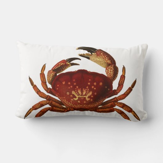 フロリダの石造りカニのLumbarの装飾用クッション ランバークッション (裏面)