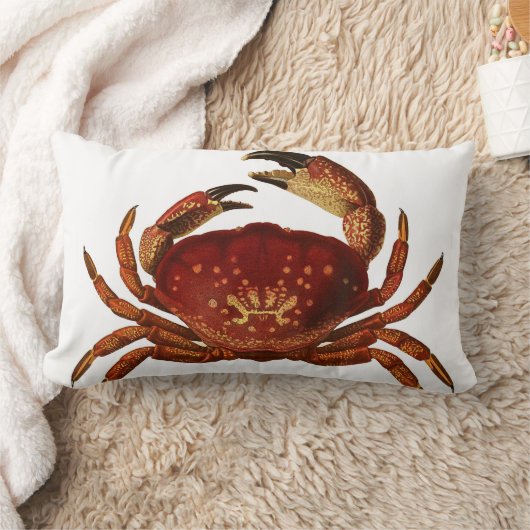 フロリダの石造りカニのLumbarの装飾用クッション ランバークッション (ブランケット)