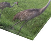 フロリダの砂の丘はまな板を伸ばします カッティングボード (角)