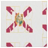 フロリダの米国州の旗 ファブリック (クローズアップ)