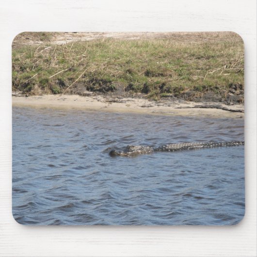 フロリダの自然写真 - 川岸の野生のアリゲーター マウスパッド (正面)
