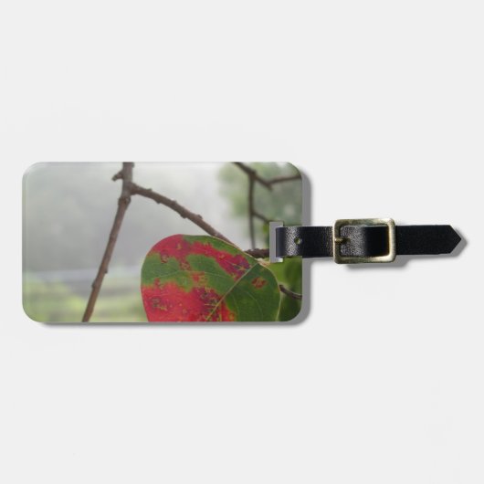 フロリダの葉が赤く変わる秋 ラゲッジタグ (正面横)