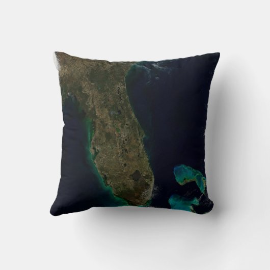 フロリダの衛星表示。 クッション (裏面)