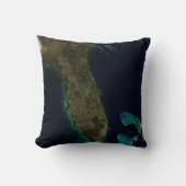 フロリダの衛星表示。 クッション (正面)