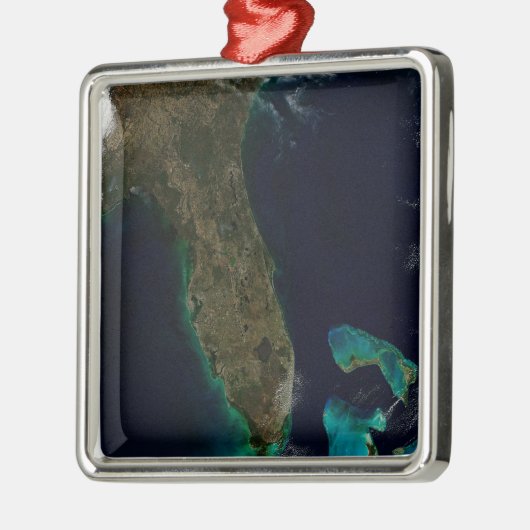 フロリダの衛星表示。 メタルオーナメント (左)