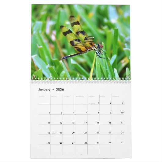 フロリダの野性生物 カレンダー (1月 2026)