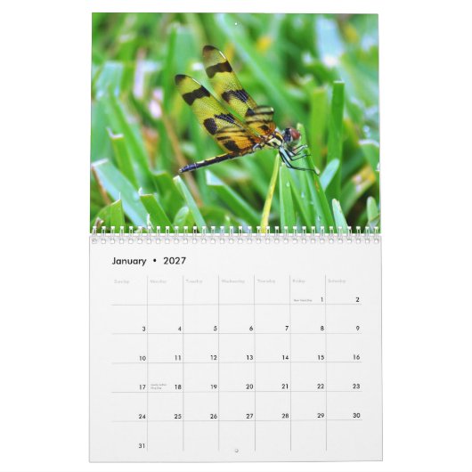 フロリダの野性生物 カレンダー (1月 2027)