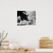 フロリダの鍵ハウスとそのヤシの木,アメリカ。 ポスター (キッチン)