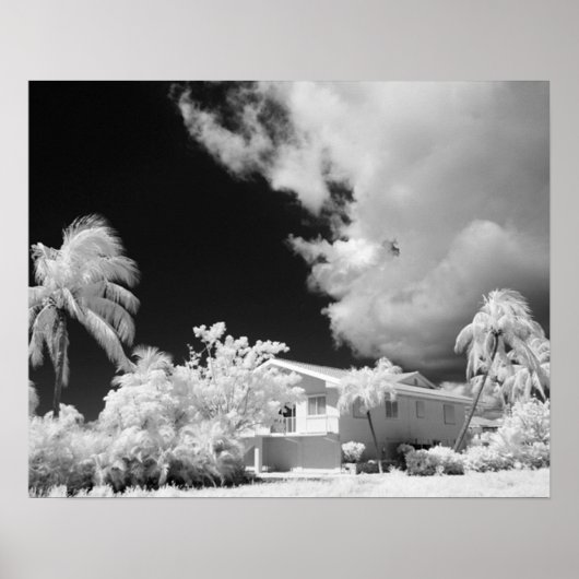 フロリダの鍵ハウスとそのヤシの木,アメリカ。 ポスター (正面)