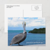 フロリダの鍵葉書からの挨拶 ポストカード (正面/裏面)