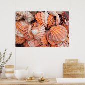 フロリダの鍵、鍵西部、貝殻 ポスター (キッチン)