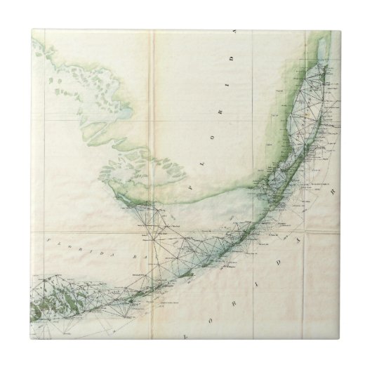 フロリダの鍵(1859年)のヴィンテージの地図 タイル (正面)