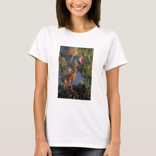 フロリダの雛と一緒にいるアカガシラサギ Tシャツ (正面)