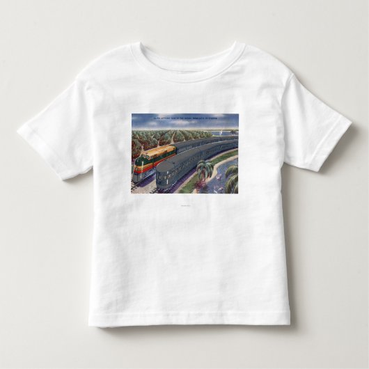 フロリダの高地の銀製の流星"海岸" トドラーTシャツ (正面)