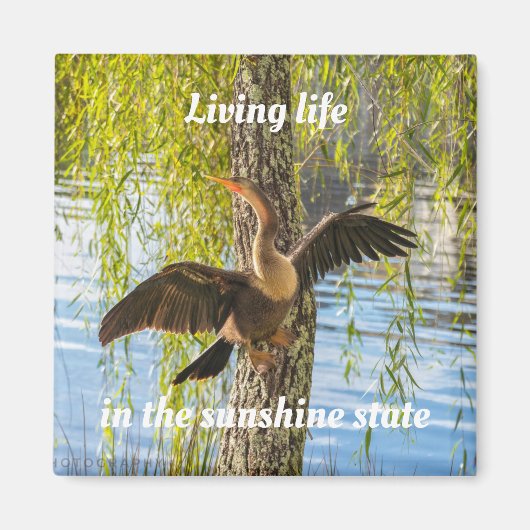 フロリダの鳥2インチ角磁石 マグネット (正面)