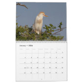 フロリダの鳥2026 カレンダー (1月 2026)