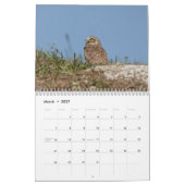 フロリダの鳥2026 カレンダー (3月 2027)