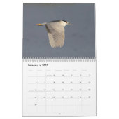 フロリダの鳥2026 カレンダー (2月 2027)