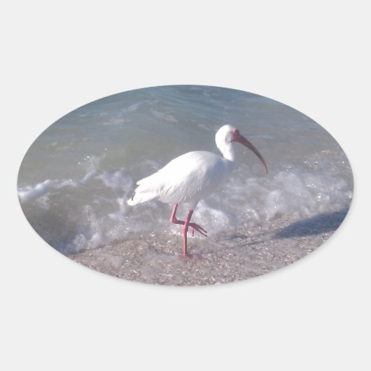 フロリダの鳥 楕円形シール (正面)