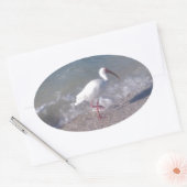 フロリダの鳥 楕円形シール (封筒)