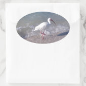 フロリダの鳥 楕円形シール (バッグ)