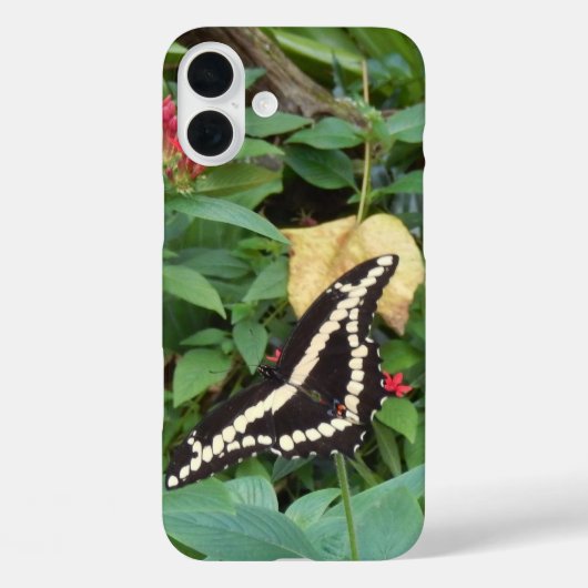フロリダの黄色の(昆虫)オオカバマダラ、モナークと花 Case-Mate iPhoneケース (裏面)