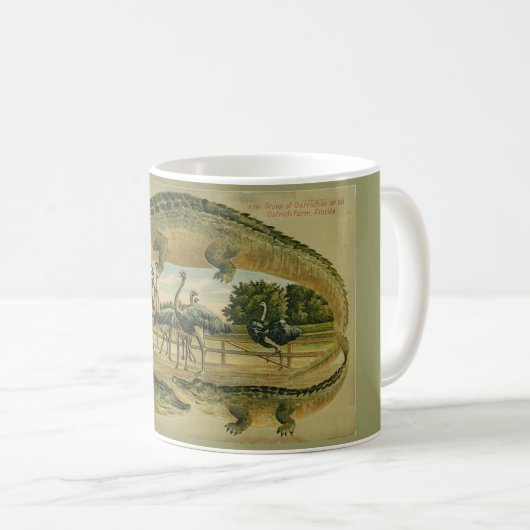 フロリダの1905年のわにボーダーマグ コーヒーマグカップ (正面右)