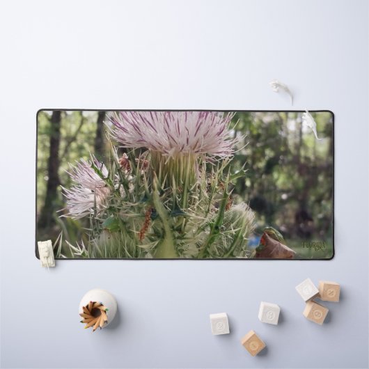 フロリダの2匹のカエルのナチュラルフォト デスクマット (キッズテーブル)