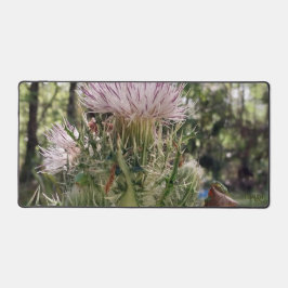 フロリダの2匹のカエルのナチュラルフォト デスクマット