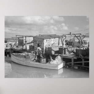 フロリダはFishing 1938年を調整します ポスター