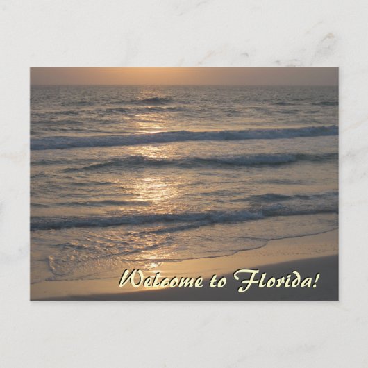 フロリダへようこそ ポストカード (正面)