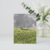 フロリダイグアナ葉書 ポストカード (スタンド正面)