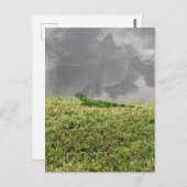 フロリダイグアナ葉書 ポストカード (正面/裏面)