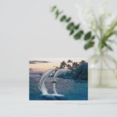 フロリダイルカ名刺 名刺 (スタンド正面)