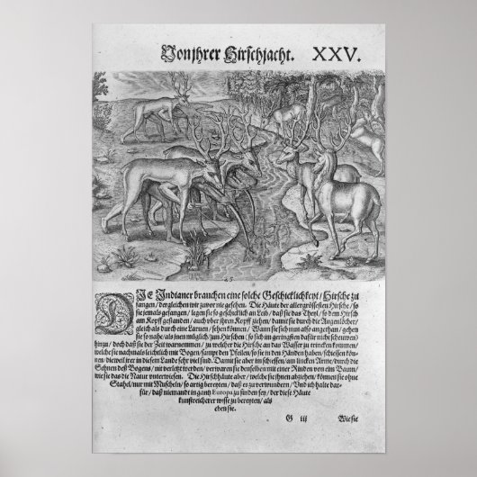 フロリダインディアン狩り鹿 ポスター (正面)