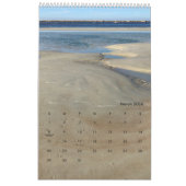 フロリダイーストコーストビーチバックウォーター自然 カレンダー (3月 2026)