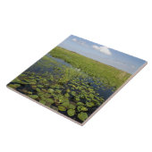 フロリダエバーグレーズのスイレンとノコギリ タイル (側面)