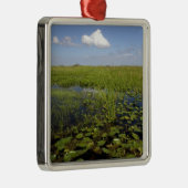 フロリダエバーグレーズのスイレンとノコギリ メタルオーナメント (右)