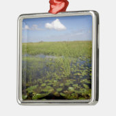 フロリダエバーグレーズのスイレンとノコギリ メタルオーナメント (左)